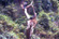 bird1