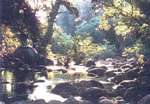 chinnar1